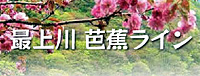 mogamikyo