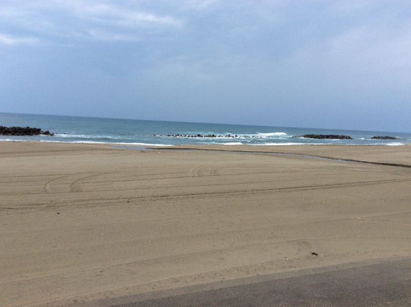 庄内の原風景!すばらしいですね!