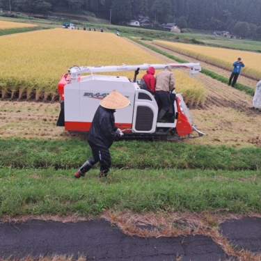 稲刈り体験（東京都北区のみなさん）